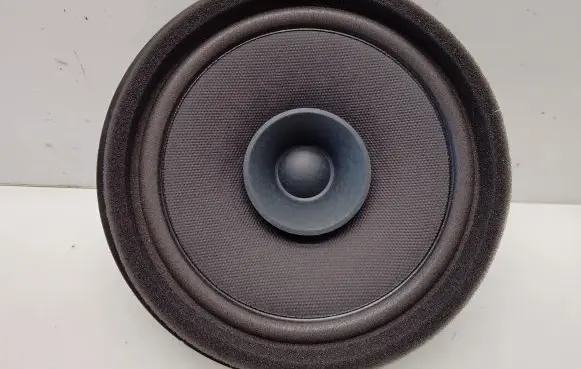 Rear door speaker