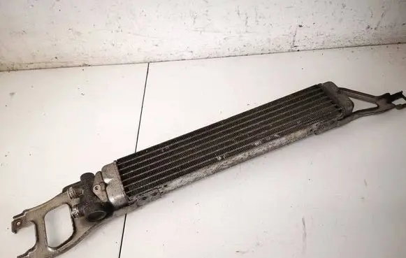 Mercedes-Benz B W245 Engine oil radiator A1695010165 A1695000200