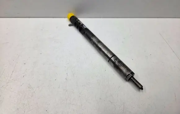 SsangYong Rodius Fuel injector A6650170121