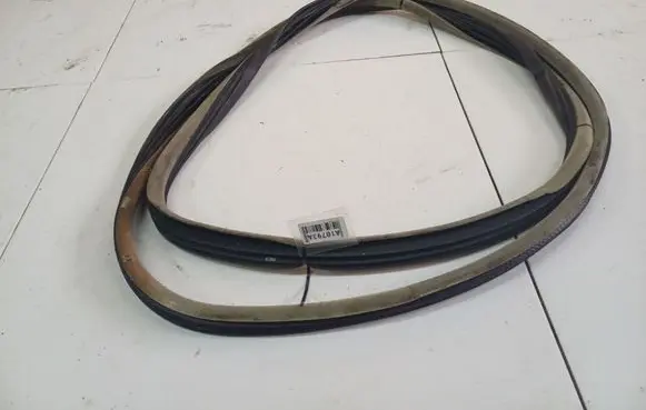 Renault Espace - Grand espace IV Rubber seal front coupe door 