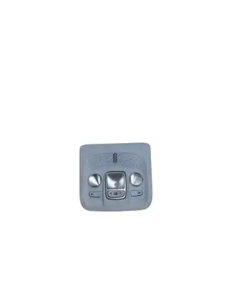 Peugeot 2008 I Front seat light 2519000