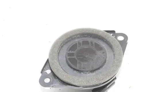 Lexus NX Panel speaker 861600WV80