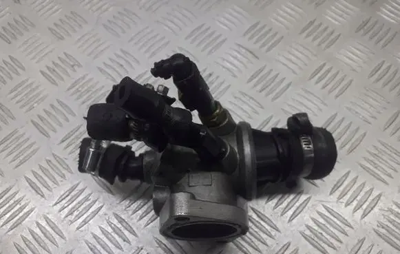 Thermostat/thermostat housing