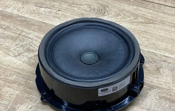 Jaguar F-Pace Front door speaker GX7318808DC D1P2A