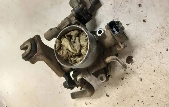 Toyota RAV 4 (XA20) Throttle valve 8945233030