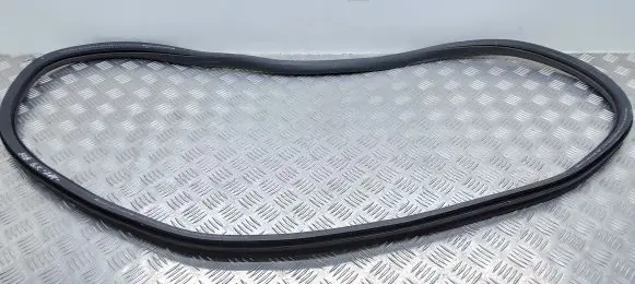 Peugeot 508 II Rear door rubber seal (on body) 9818906980