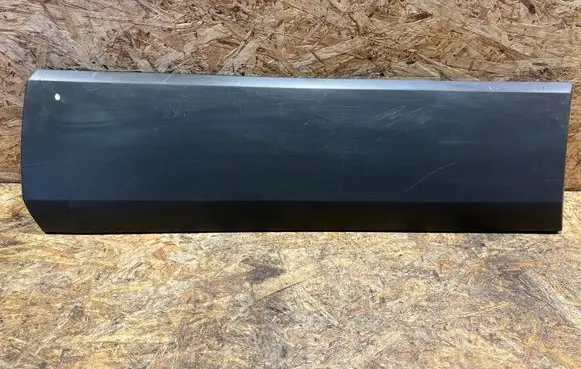 Rear door trim (molding)