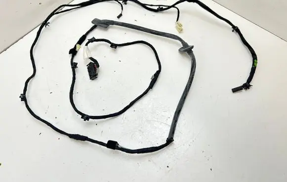 Other wiring loom
