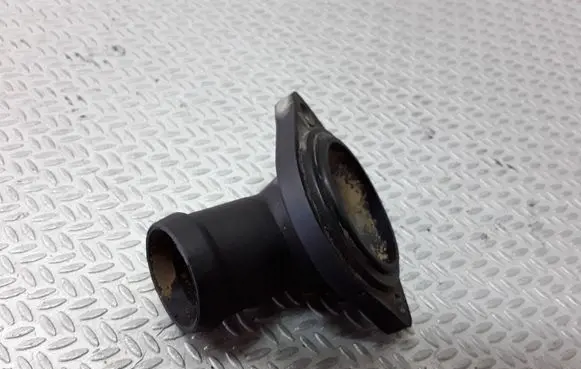 Thermostat/thermostat housing