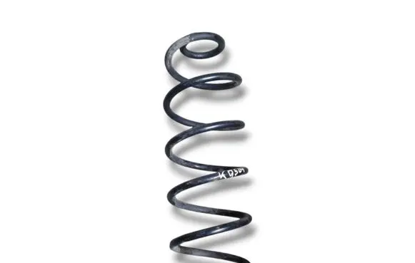 Rear coil spring