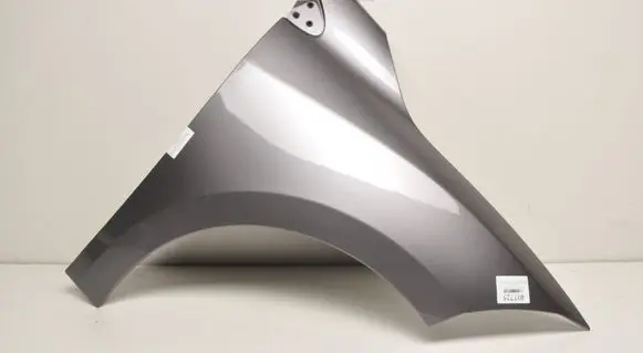 Renault Megane III Front mudguard 