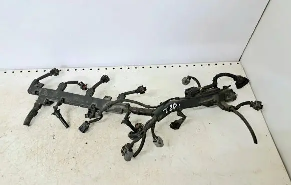 Honda Accord Fuel injector wires 