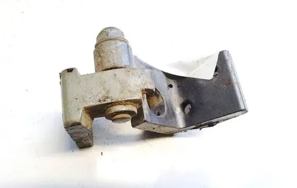 Seat Toledo III (5P) Rear door lower hinge 5p0833401c