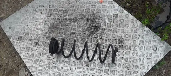 Renault Laguna III Rear coil spring
