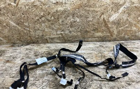 Mercedes-Benz CL C216 Front door wiring loom 2165400805