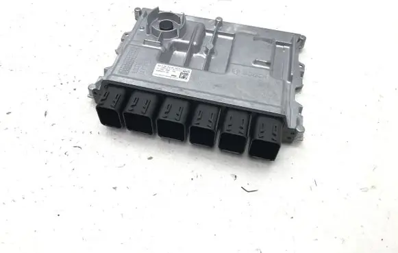 Engine control unit/module ECU