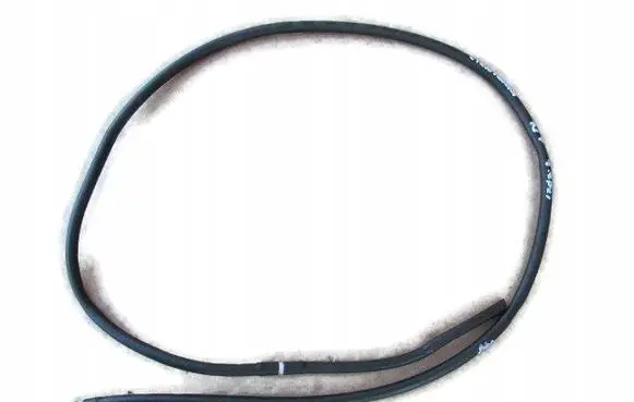Nissan Pathfinder R51 Windshield washer fluid hose 