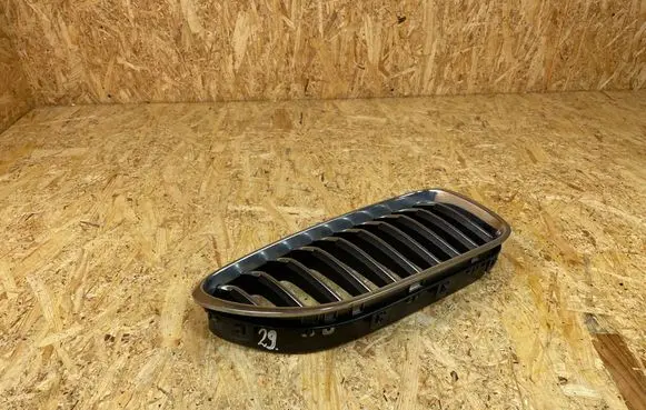 Front bumper upper radiator grill