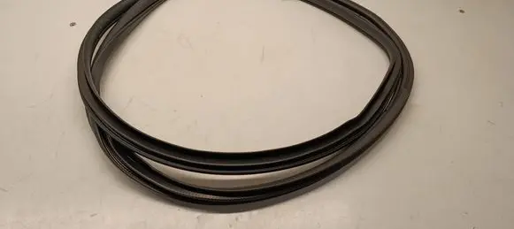 Toyota C-HR I Front door rubber seal 