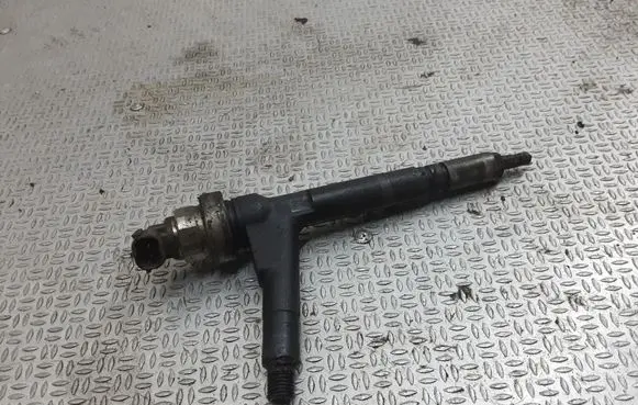 Opel Meriva A Fuel injector 8973138612