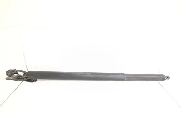 Tailgate/trunk strut/damper