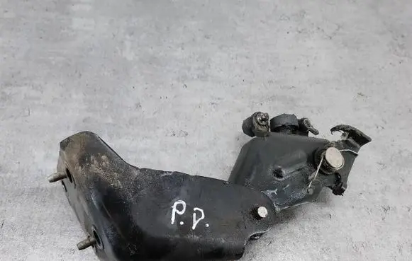 Peugeot 1007 Front door lower hinge 