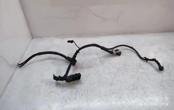 KIA Magentis Other wiring loom