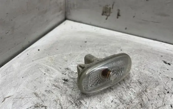 Front fender indicator light