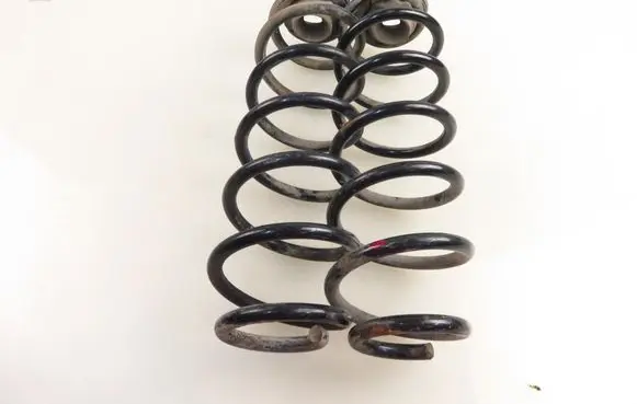 Rear coil spring