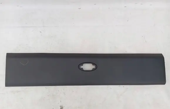 Renault Master III Rear door trim (molding) 768F20003R
