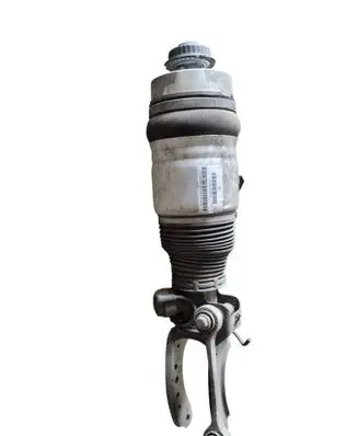 Volkswagen Touareg I Front air suspension shock absorber 7L6616039 166ATE025A5393H