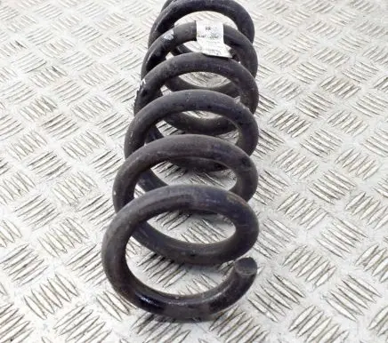 Ford Mustang Mach-E Rear coil spring LJ9C5560BNE