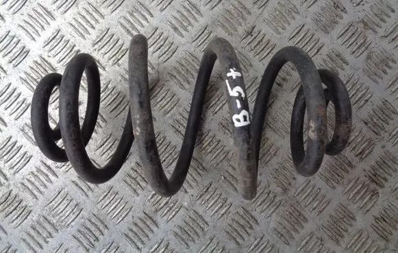 Rear coil spring