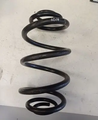 Rear coil spring