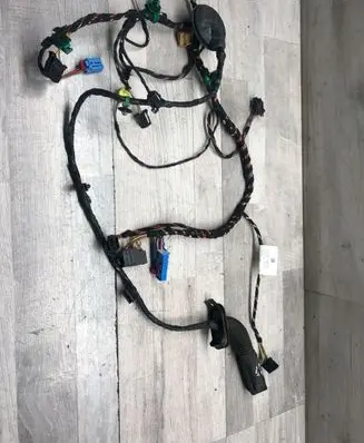 Front door wiring loom