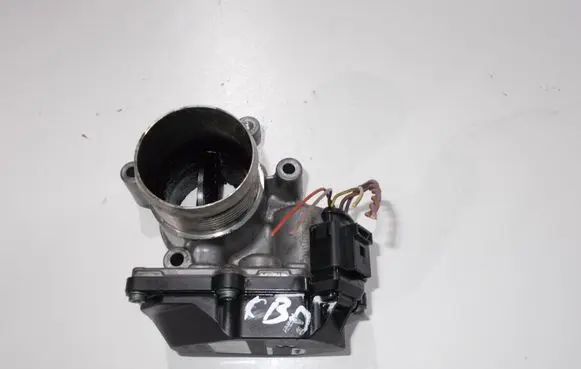 Volkswagen PASSAT B6 Throttle valve A2C83076000