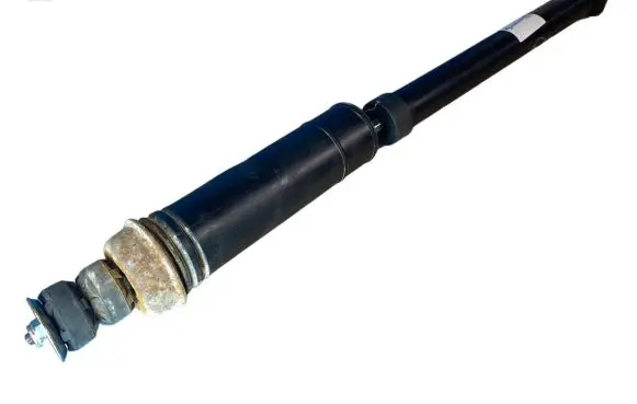 Hyundai Getz Rear shock absorber/damper 553101C500 317596