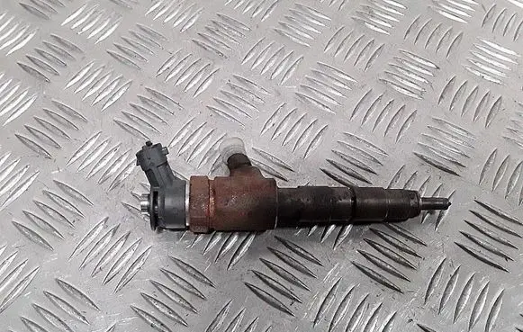 Peugeot Partner Fuel injector 0445110566