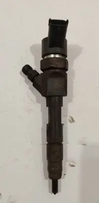 Renault Laguna II Fuel injector 0445110110B