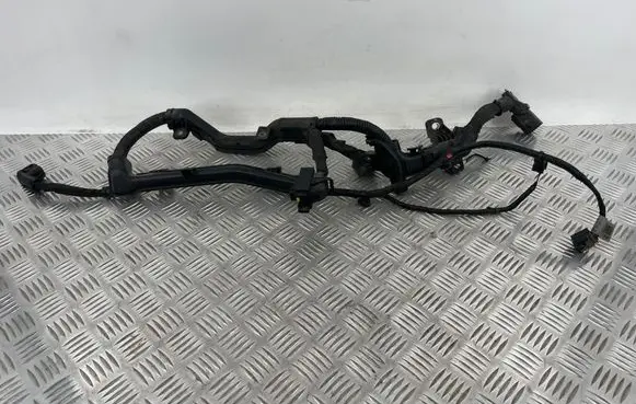 Hyundai Ioniq 5 Other wiring loom 91450GI010 A501