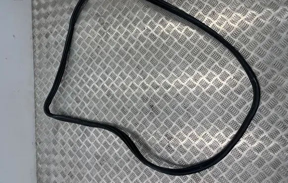 BMW 3 G20 G21 Front door rubber seal 7407373