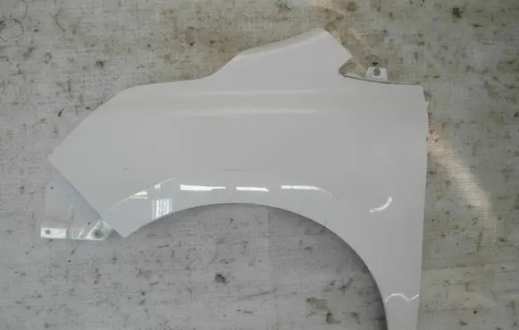Renault Kangoo III Fender BLOTNIKKANGOO