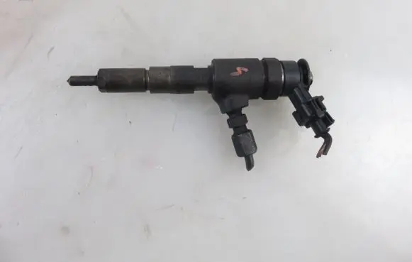 Peugeot 206 Fuel injector 0445110252