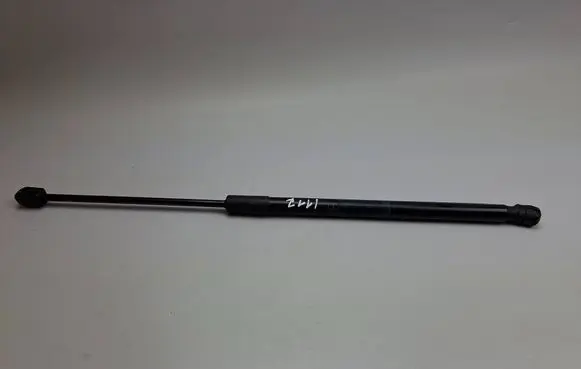Tailgate/trunk strut/damper