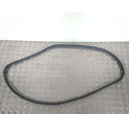 Citroen C3 Front door rubber seal 9813059580