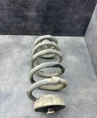 Rear coil spring
