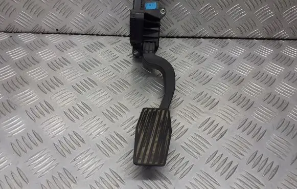 Fiat Grande Punto Accelerator pedal position sensor 55702020