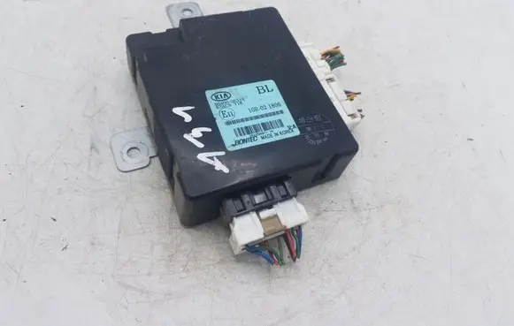 KIA Sorento Door central lock control unit/module 954003E310