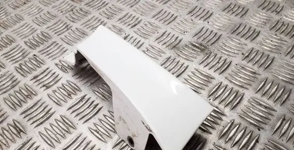 Rear/tail light trim molding