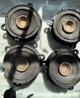 Renault Clio III Front door speaker 3252523